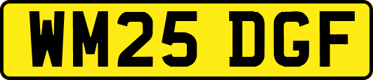 WM25DGF
