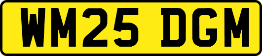 WM25DGM