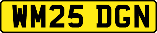 WM25DGN