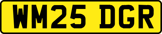 WM25DGR