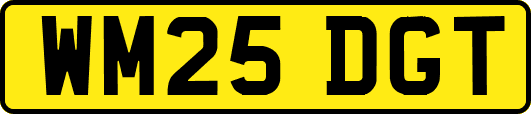 WM25DGT
