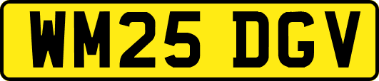 WM25DGV
