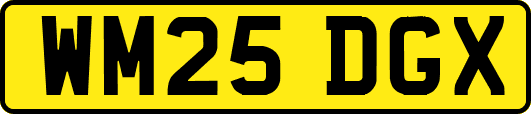 WM25DGX