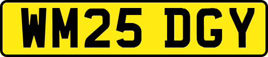 WM25DGY