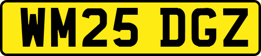 WM25DGZ