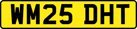 WM25DHT