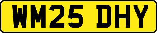 WM25DHY