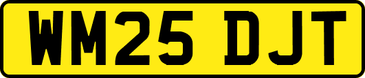 WM25DJT