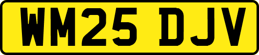 WM25DJV