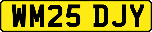 WM25DJY