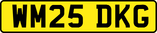 WM25DKG