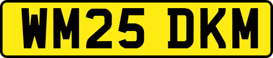 WM25DKM