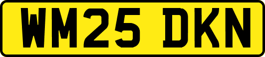 WM25DKN