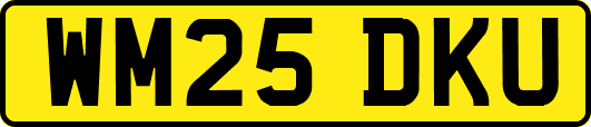 WM25DKU