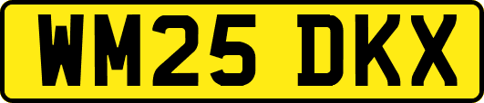 WM25DKX