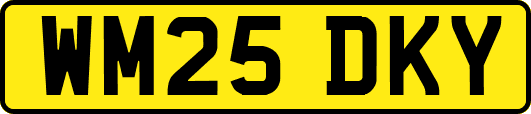 WM25DKY