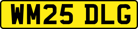 WM25DLG