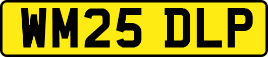WM25DLP