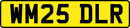 WM25DLR