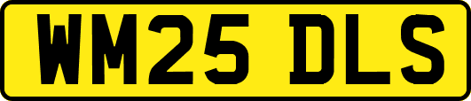 WM25DLS