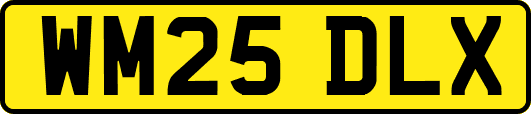WM25DLX