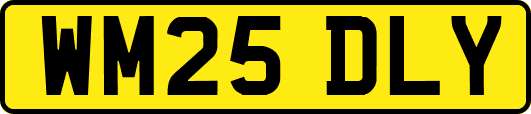 WM25DLY