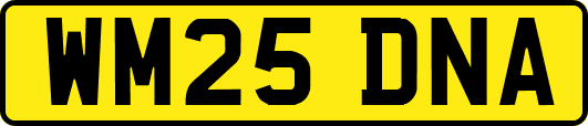 WM25DNA