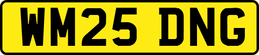 WM25DNG