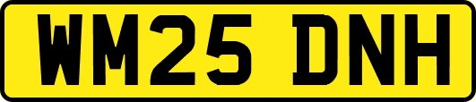 WM25DNH
