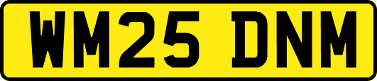 WM25DNM
