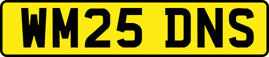 WM25DNS