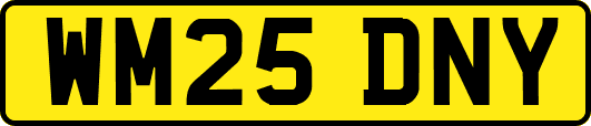 WM25DNY