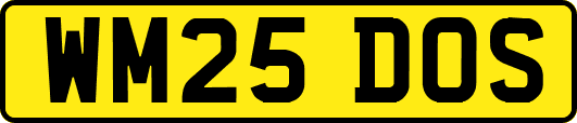 WM25DOS