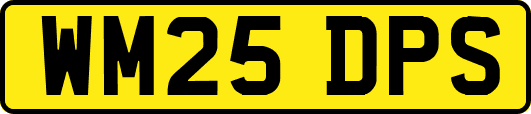 WM25DPS
