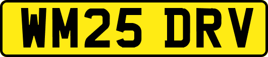 WM25DRV