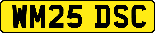 WM25DSC