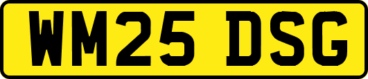 WM25DSG