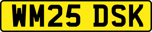 WM25DSK
