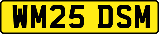 WM25DSM