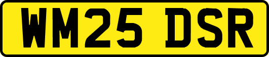 WM25DSR