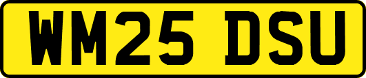 WM25DSU