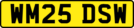 WM25DSW