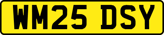 WM25DSY