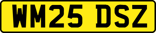 WM25DSZ
