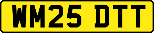 WM25DTT
