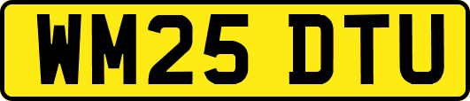 WM25DTU