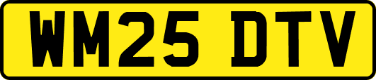 WM25DTV