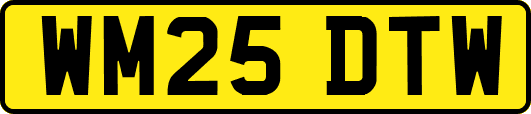 WM25DTW