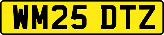 WM25DTZ