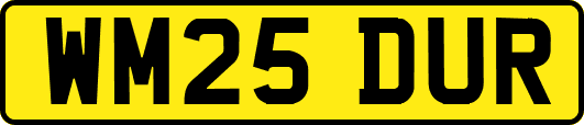 WM25DUR